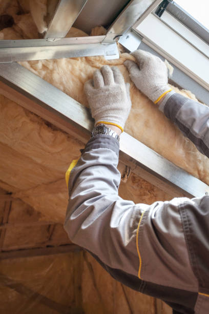 Garage Insulation Installation in Ormond By The Sea, FL